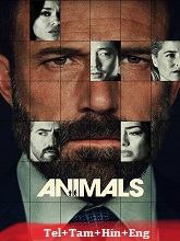 Animals