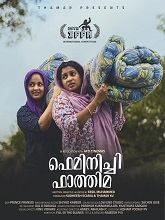 Feminichi Fathima